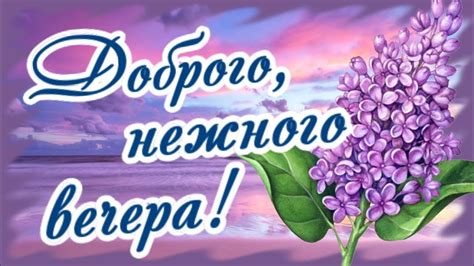 Доброго, нежного вечера! Душевного тепла! Сладких снов! - YouTube