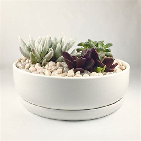 Home And Hobby Floral And Garden Crafts No Drain Hole Vanilla White Pottery