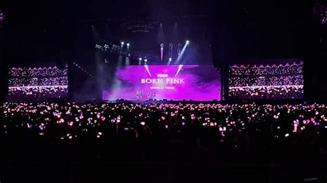 Bawakan Lagu Blackpink Sukses Puaskan Blink Lewat Blackpink World