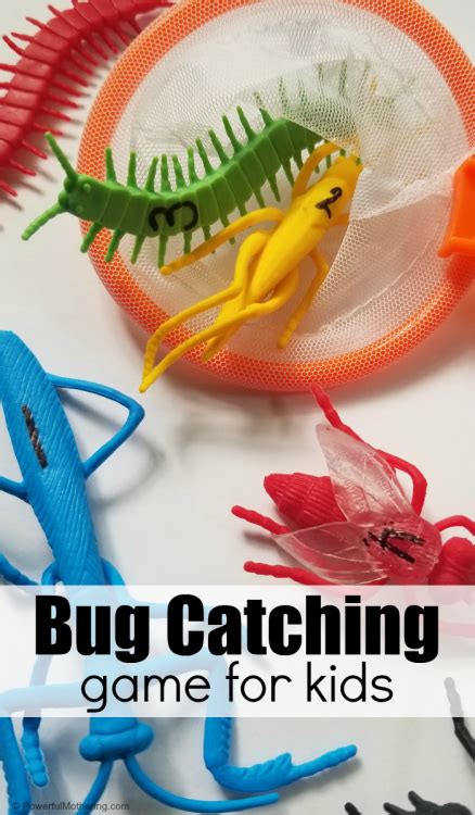 Engaging Bug Catching Game A Fun Way To Learn And Have Fun