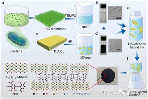 Nano Energy用于生物能源的基于盐度发电的细菌纤维素 MXene膜 知乎