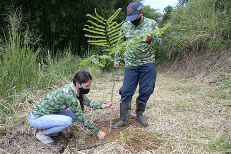 Día de proteger y conservar los ecosistemas urbanos de la región El