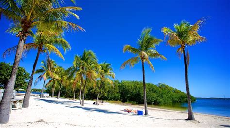 John Pennekamp Coral Reef State Park In United States Of America Expedia