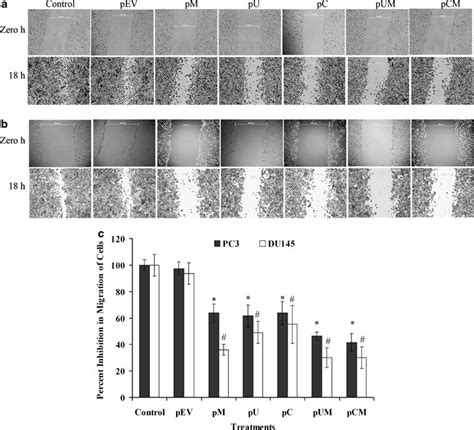 Downregulation Of Mmp Upar And Cb Reduced Prostate Cancer Cell