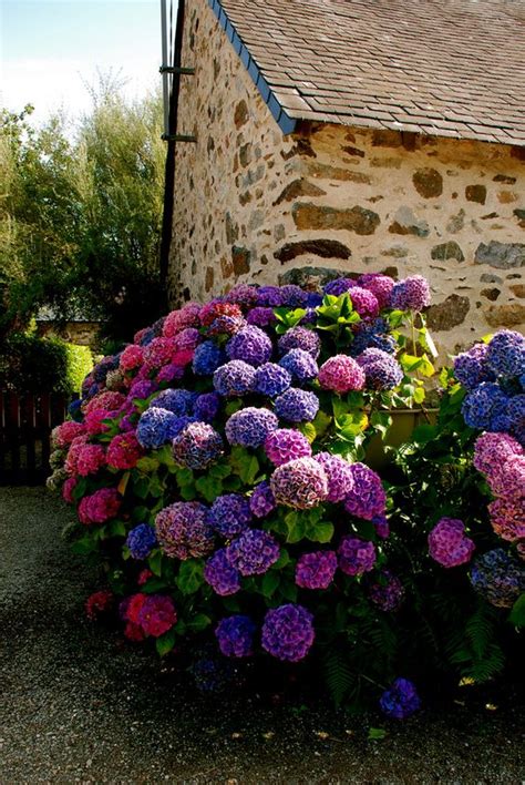 Квітники: 15 яскравих ідей | Ідеї декору