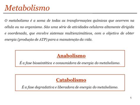 Catabolismo E Anabolismo Qual A Diferen A Vivendobauru Br