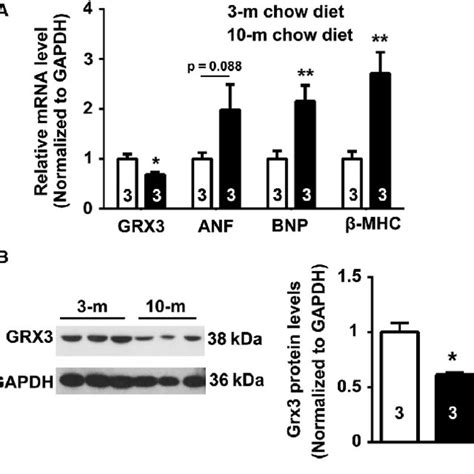 Cardiac Hypertrophy And Heart Failure In Conditional Knockout CKO