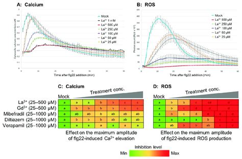 Effects Of Calcium Manipulation On Apoplastic Ros Signaling Line