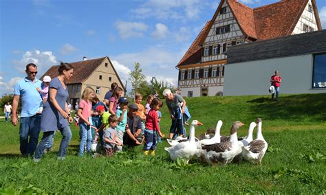 Endspurt Beim Familien Ferien Programm In Den Sommerferien Im