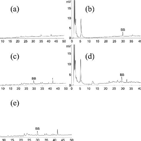 Representative Hplc Dad Chromatograms A Blank Plasma B Blank