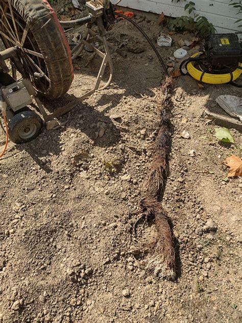 Root Cleaning Genos 247 Sewer Drain And Plumbing