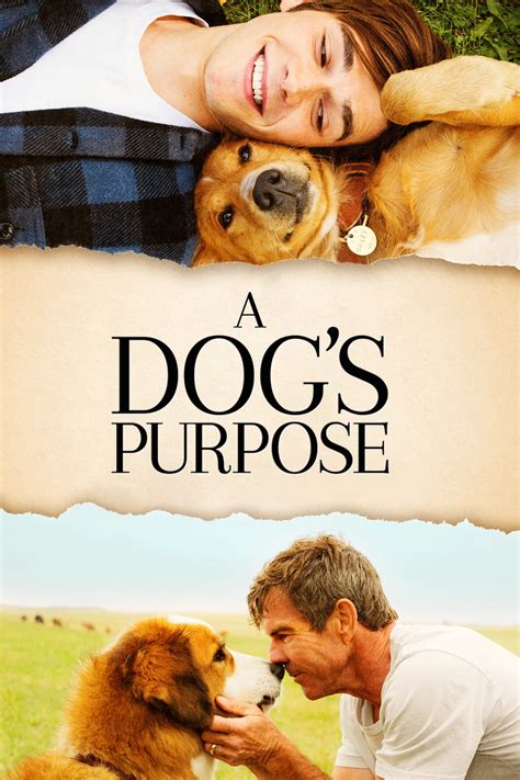 A Dog's Purpose (2017) - Posters — The Movie Database (TMDB)