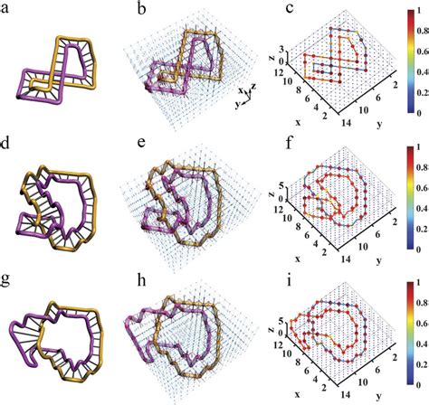 Electric Demonstration Of Topological Equivalence Between Different Dna