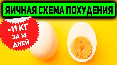 Яичная Диета – самый простой способ ПОХУДЕТЬ до 11 кг за 14 дней - YouTube