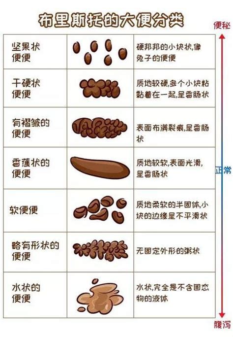 一天排幾次大便，才算正常？消化內科主任：答案不是一次 每日頭條