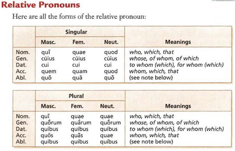 03 Latin 2019 2020 28d Relative Pronouns And Clauses Textbook