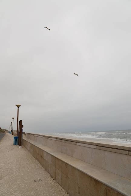 Marinha Grande Câmara realiza conservação do Paredão da Praia da