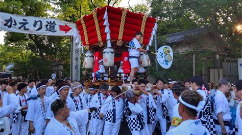 令和5年 大阪市平野区 平野郷 杭全神社夏祭り 太鼓台 足洗い 杭全神社出発〜樋之尻橋まで。 Youtube