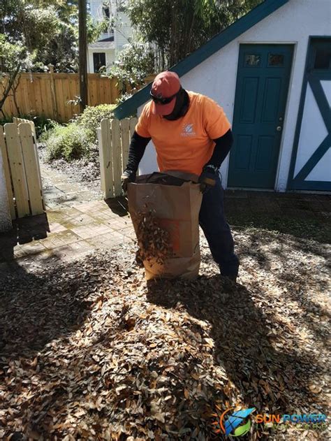 Leaves What To Do With Them Sun Power Lawn Care