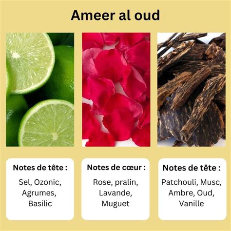 Huile Parfumée Ameer Al Oud Ayat Perfumes 12 ml