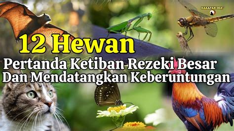 12 Hewan Ini Jadi Pertanda Datangnya Rezeki Dan Keberuntunga