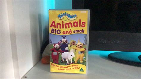 Start Of Teletubbies Animals Big And Small Rare Uk Vhs Youtube