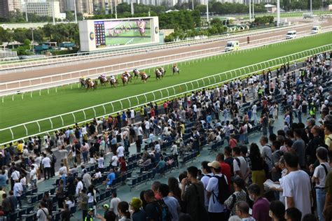 七一︱沙田馬場舉行回歸賽馬日 市民帶國旗區旗進場 旅行團拉橫幅合照留念 星島日報