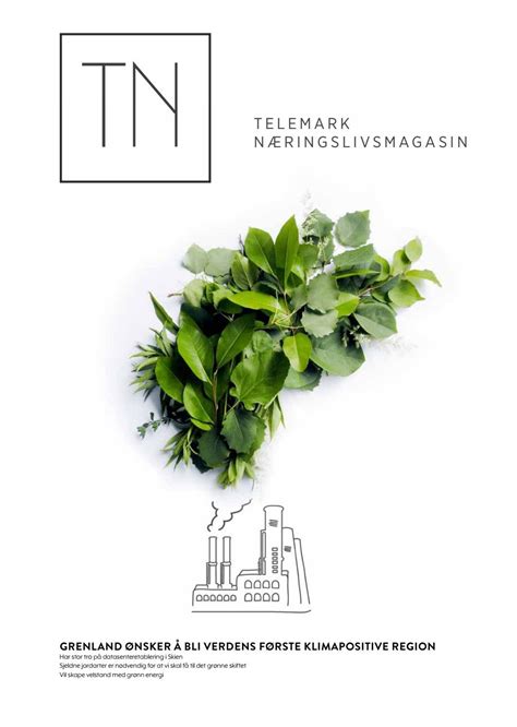 Telemarksavisa - TN Næringslivsmagasin by Amedia Kreativ - Issuu
