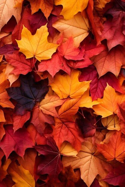 Premium Ai Image A Bunch Of Autumn Leaves