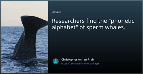 Researchers Find The Phonetic Alphabet Of Sperm Whales By Christopher Annan Prah