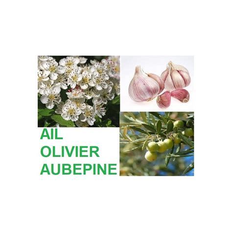 Ail Olivier Aubépine Tension 60 Gélules NataVéa Hyperbio