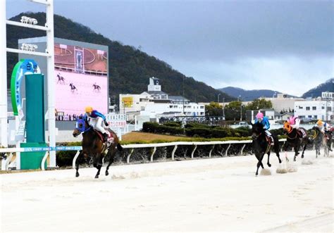 【地方競馬】ラッキードリームが白鷺賞制覇 初めての逃げで重賞11勝目うま屋デイリースポーツ Online