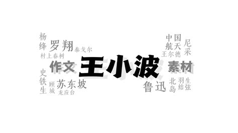 【作文素材】王小波·一个人拥有此生此世是不够的，他还应该拥有诗意的世界 哔哩哔哩