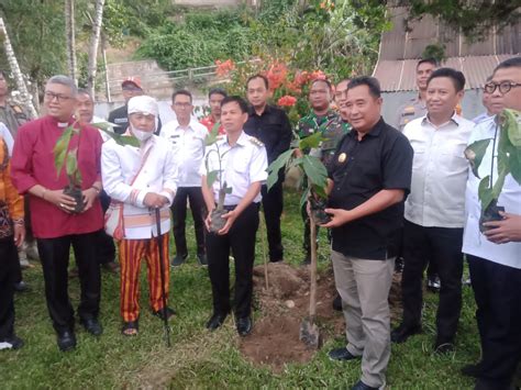 PJ Gubernur Sulbar Bersama PJ Bupati Mamasa Tanam Pohon Sukun