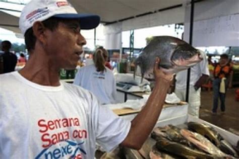 Belém Feiras do Peixe Vivo e Popular oferecerão 300 toneladas a