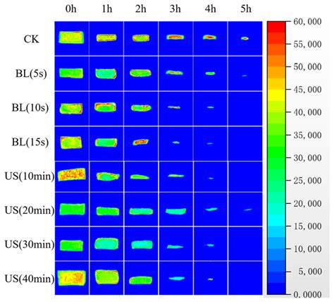 proton density weighted images   groups   drying