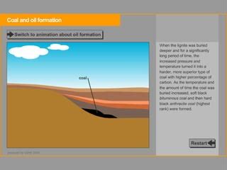 Coal Formation Animation