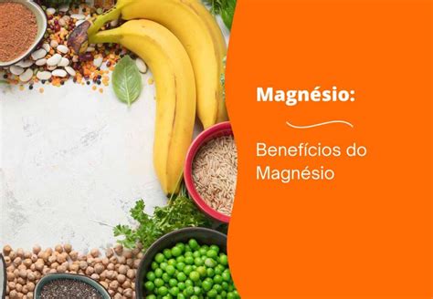 Guia Informativo Sobre Magn Sio E Sua Import Ncia Para A Sa De Blog