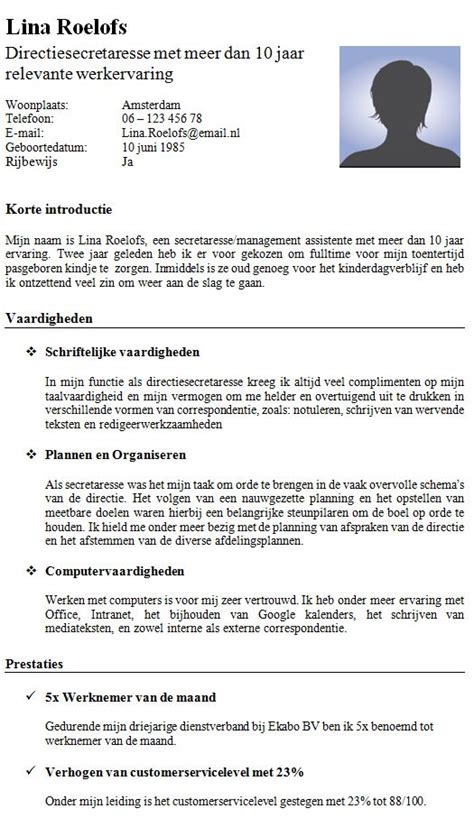 Voorbeeld Cv Curriculum Vitae Vdab The Treasury