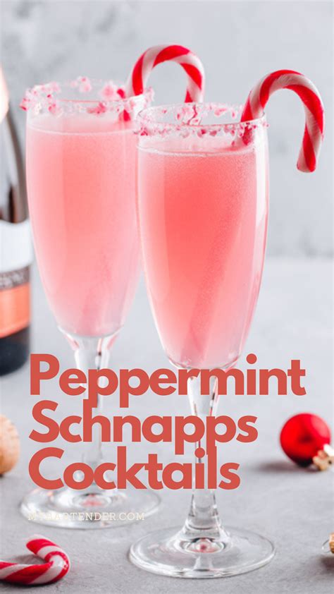 9 Best Peppermint Schnapps Cocktails Try