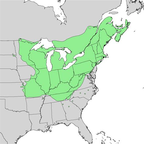 Maple Syrup Production Map