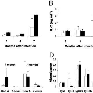 Pathology Of Hearts From T Cruzi Infected Balb C Mice A C And E