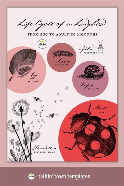 Life Cycle of a Ladybug Canva Template: Vintage Science Poster ...