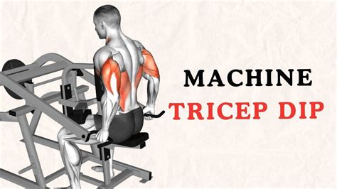 Machine Tricep Dip: Muscles Worked and How To Do