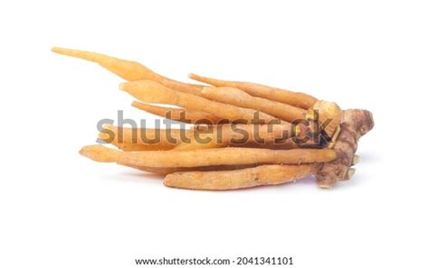 Finger Root Krachai Kaempferia Isolated On Stock Photo 2041341101