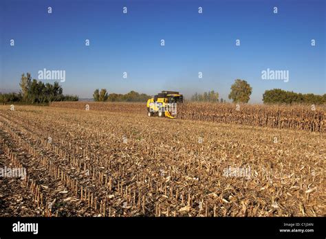 Combine harvester corn hi-res stock photography and images - Alamy