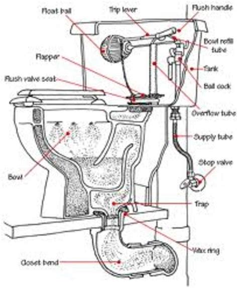 Understanding The Inner Workings Of A Toilet Flush Valve