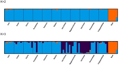 Minor Allele Frequency Spectrum Calculated Over All Samples Spectrum