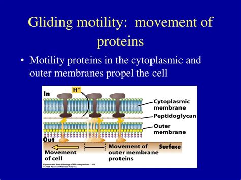 Ppt Chapter 4 Part 4 Powerpoint Presentation Free Download Id 1928056