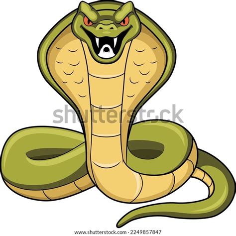 Cobra Snake Cartoon Mascot Character Stock Vector (Royalty Free ...